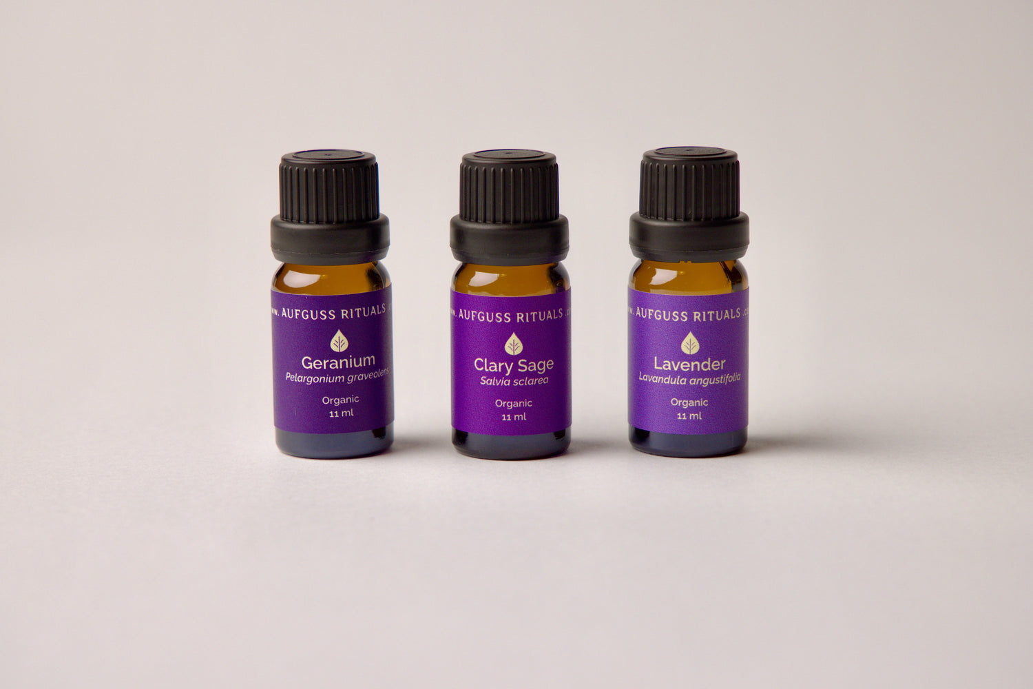 The Floral Collection