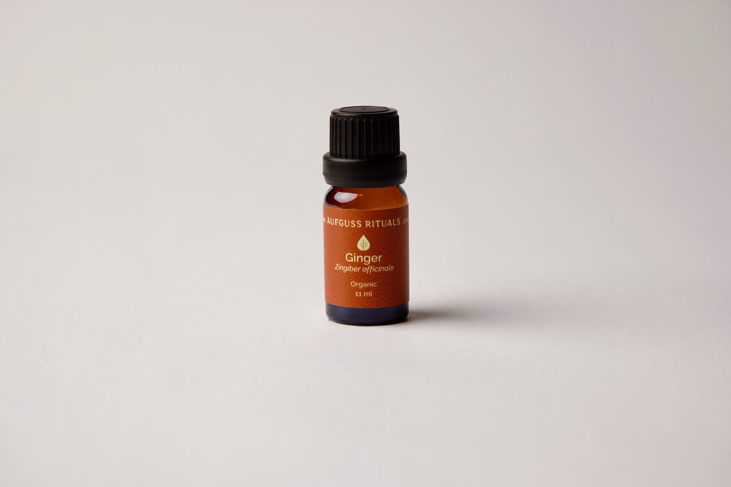 Ginger Essential Oil - Organic