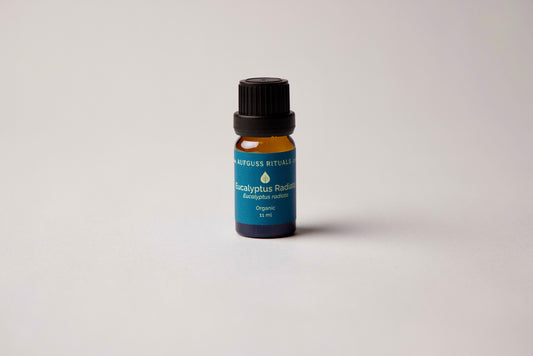 Eucalyptus Radiata Essential Oil - Organic