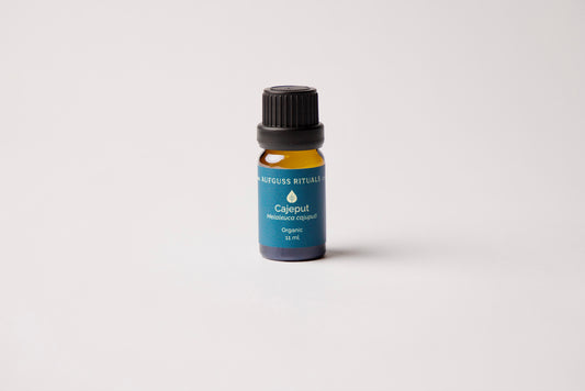 Cajeput Essential Oil - Organic