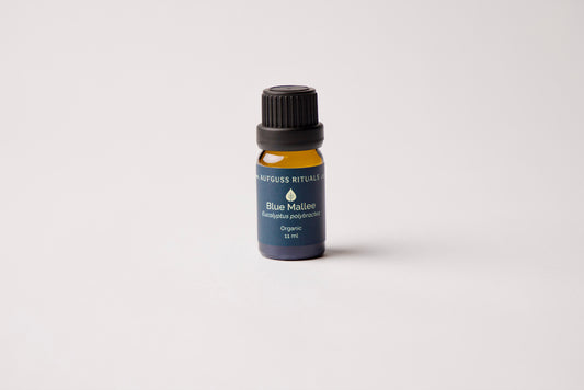 Blue Mallee Essential Oil - Organic