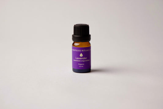 Lavender Essential Oil - Organic